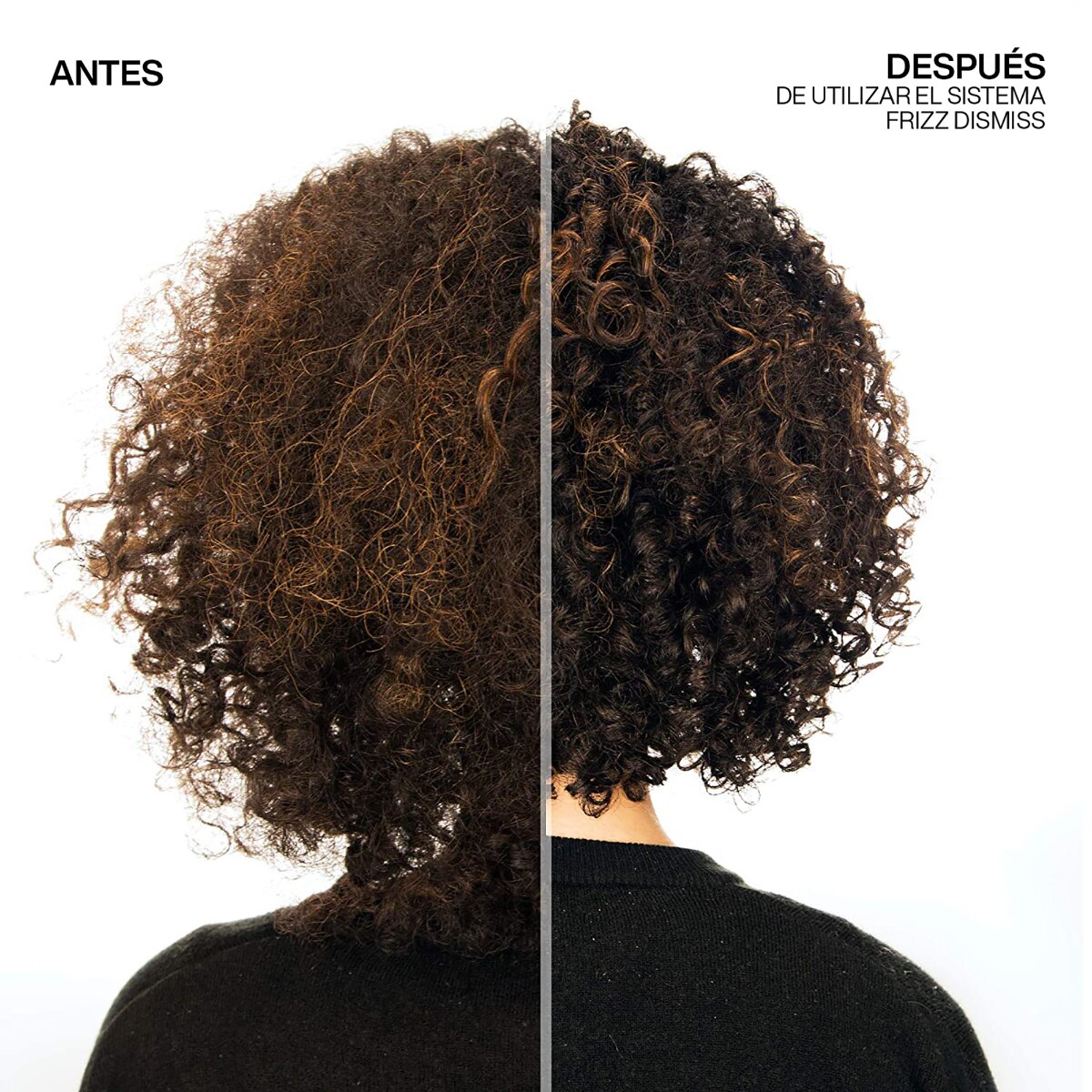 PROTECTOR T&Eacute;RMICO FRIZZ DISMISS PARA CABELLO REBELDE